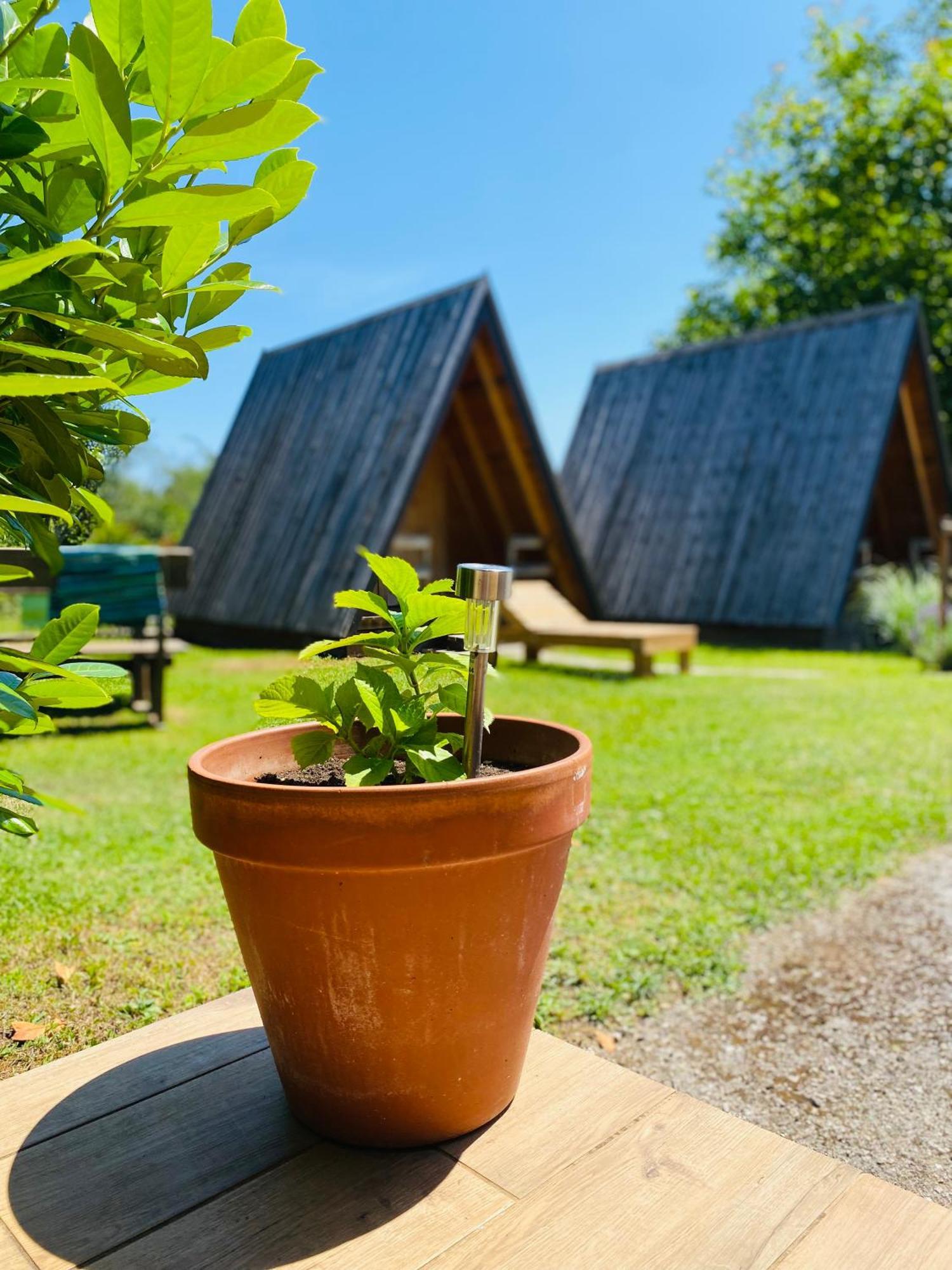 Rooms & Glamping Lana Haus Licko Petrovo Selo 외부 사진