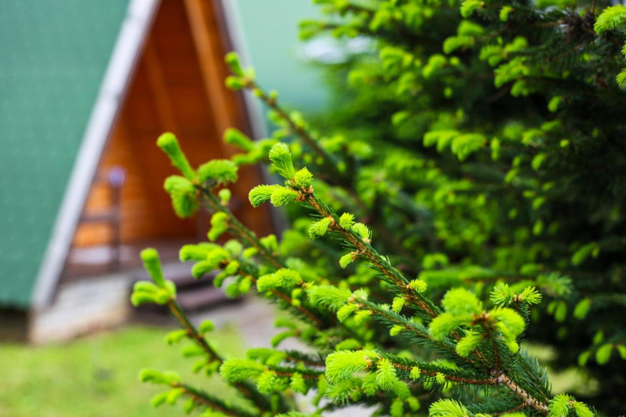 Rooms & Glamping Lana Haus Licko Petrovo Selo 외부 사진