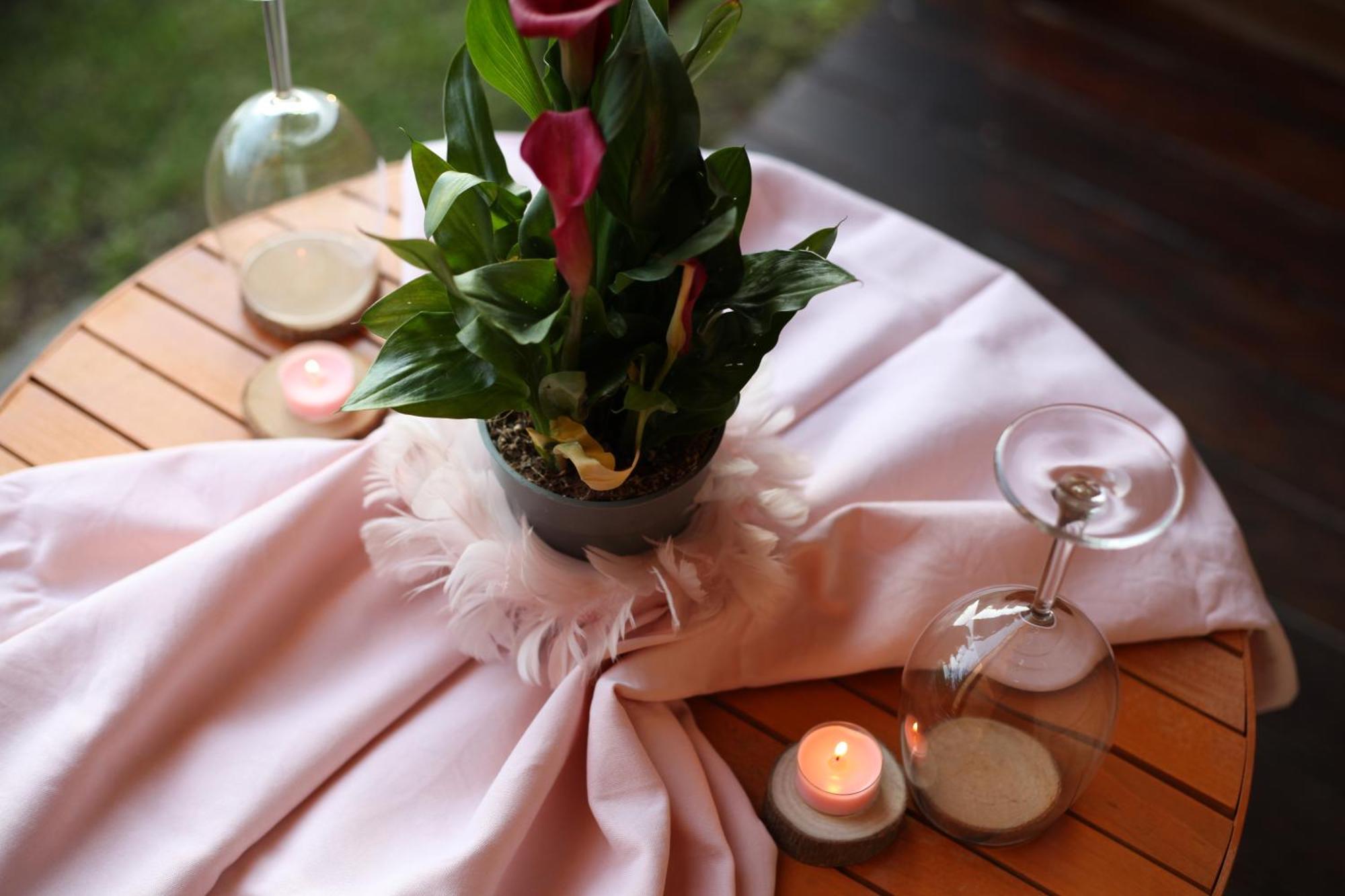 Rooms & Glamping Lana Haus Licko Petrovo Selo 외부 사진