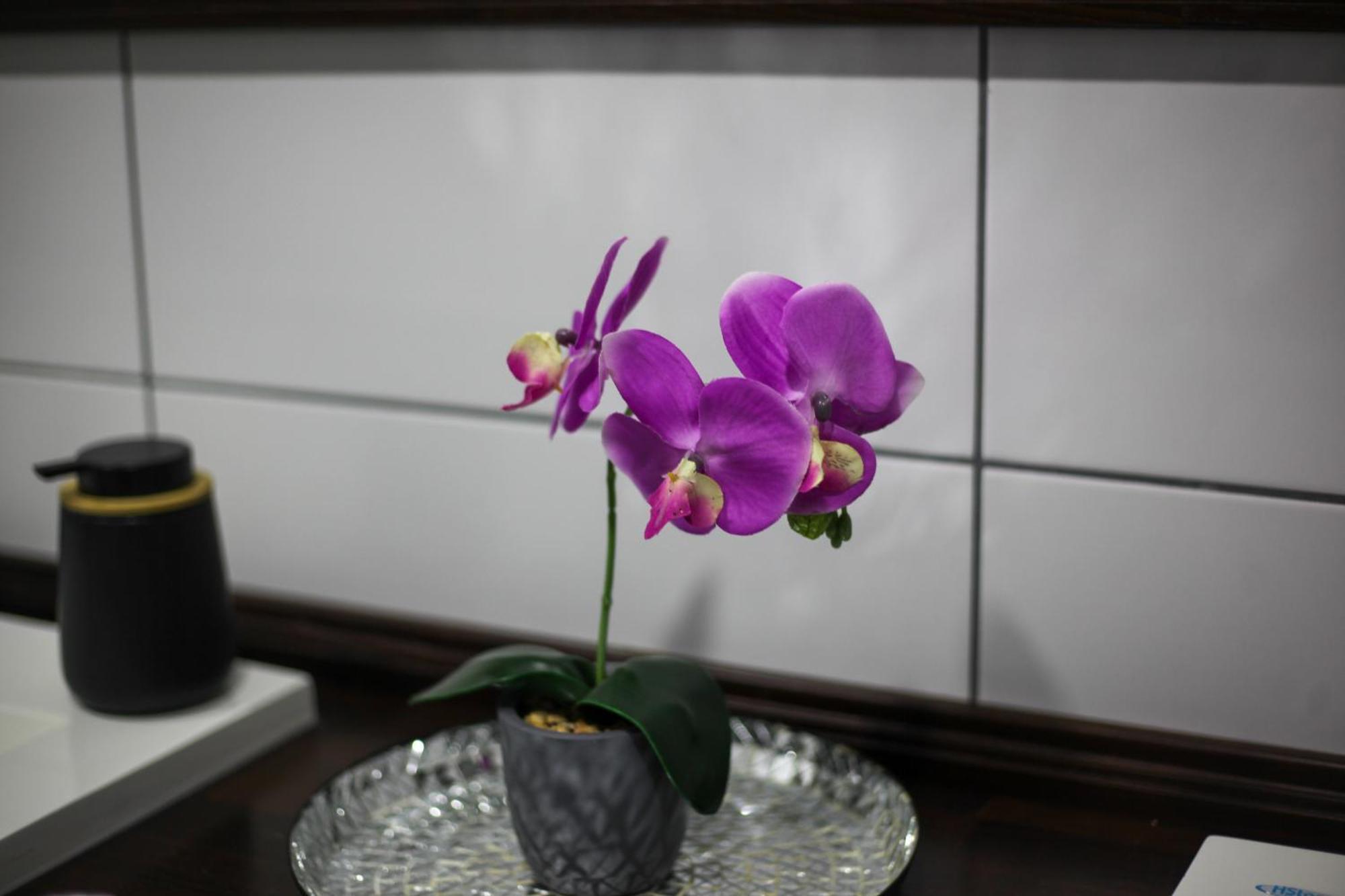 Rooms & Glamping Lana Haus Licko Petrovo Selo 외부 사진